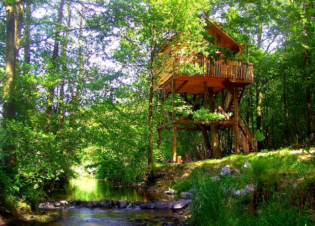 Dormir dans une cabane dans les arbres dans la province du Hainaut, à la Case de l'Oncle Henri