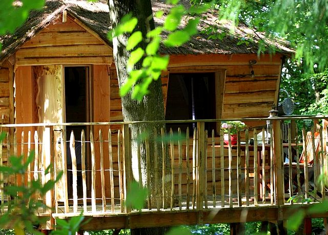 Dormir dans une cabane dans les arbres à Liège, plus précisément à Spa, à la Cabane du Bois Dormant