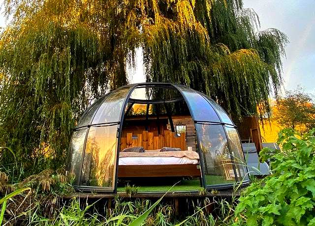 Dormir dans une bulle dans la province de Namur, aux Nids des Marais