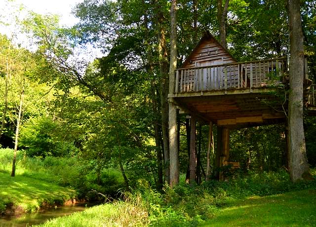 Dormir dans une cabane dans les arbres proche de Namur, au Moulin de Lisogne