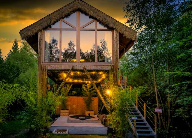 Dormir dans une cabane dans les arbres dans la province de Luxembourg, à la Cabane Sauvage