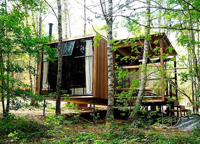 Dormir dans une cabane dans les arbres dans la province du Luxembourg, chez Nutchel