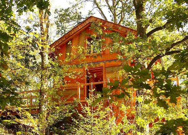 Passer une nuit insolite en amoureux dans une cabane dans la province du luxembourg, à Mon lit dans l'arbre